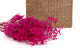 Schleierkraut Stabilisiert - Hot Pink 5