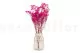 Preserved Gypsophila Hot Pink 3