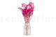 Schleierkraut Stabilisiert - Hot Pink 3