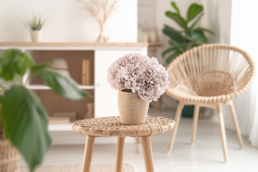 Hortensia Preservado - Hazelnut
