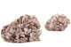 Hortensia Preservado - Hazelnut 6