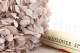 Hortensia Stabilisé - Hazelnut 2