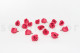 Princess Rose Stabilized - Box of 16 - Dark Pink 3