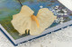 Anthurium stabilized - Box of 3 - Natural White 3