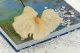 Preserved Anthurium White (x3) 3