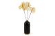 Anthurium stabilized - Box of 3 - Natural White 4