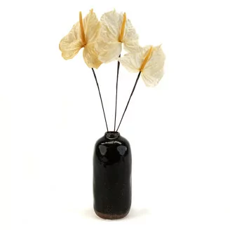 Preserved Anthurium White (x3)