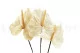 Preserved Anthurium White (x3) 2