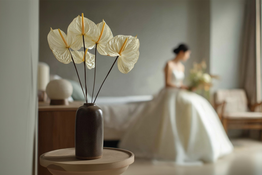 Anthurium stabilisé - Boîte de 3 - Natural White