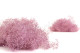 Mini Gypsophila Stabilized - Lavender Lane 2