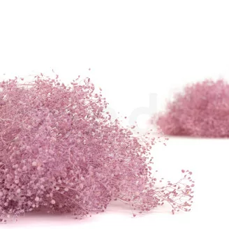Preserved Mini Gypsophila Lavender Lane