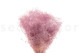 Mini Gypsophila Stabilized - Lavender Lane 5