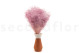 Mini Gypsophila Stabilized - Lavender Lane 7