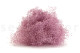 Mini Gypsophila Stabilized - Lavender Lane 8