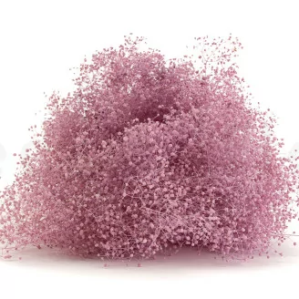 Preserved Mini Gypsophila Lavender Lane