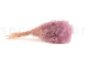 Mini Gypsophila Stabilized - Lavender Lane 9