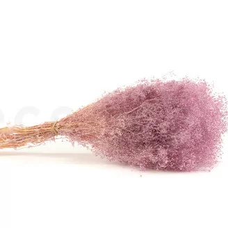 Preserved Mini Gypsophila Lavender Lane