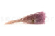 Mini Gypsophila Stabilized - Lavender Lane 10