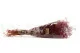 Gypsophile Mini stabilis&eacute; Raspberry 10