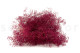 Gypsophile Mini Stabilisé - Raspberry 6