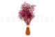 Mini Gypsophila Stabilized - Raspberry 3