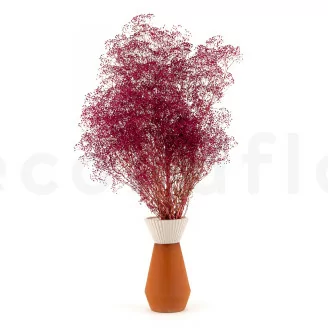 Preserved Mini Gypsophila Raspberry