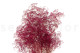 Gypsophile Mini Stabilisé - Raspberry 7