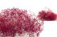 Gypsophile Mini Stabilisé - Raspberry 9