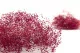 Preserved Mini Gypsophila Raspberry 9