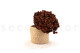Hortensia Preservado - Coffee 5
