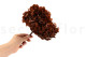 Hortensia Preservado - Coffee 3
