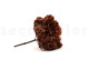 Stabilized Hydrangea - Coffee 7