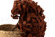 Hortensia Preservado - Coffee 8