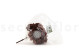 Hortensia Preservado - Coffee 9