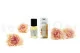 Profumo per Fiori Eterni - Alhambra 3
