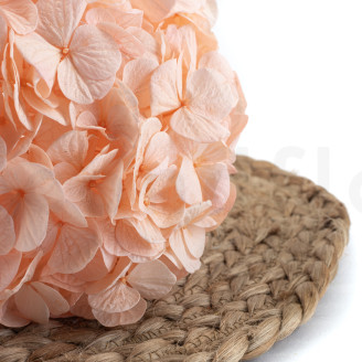Hortensia Stabilisé Kiara - Pink Blush