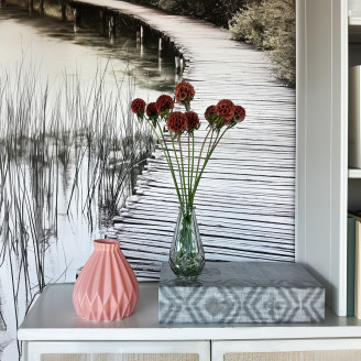 Scabiosa stellata stabilis&eacute;e - 10 tiges - Terracotta