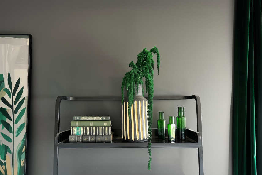 Amaranthus preserved - Bouquet - Green