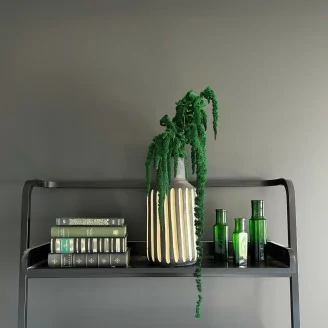 Amarante stabilis&eacute;e Vert