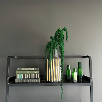 Amaranthus preserved - Bouquet - Green
