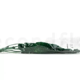 Amarante stabilis&eacute;e Vert