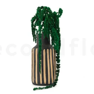 Amarante stabilis&eacute;e Vert