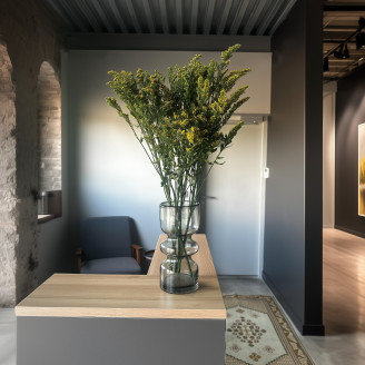 Solidago Stabilizzato - Mazzo - Verde