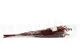 Solidago preservado Rojo 7
