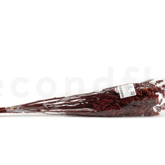 Preserved Solidago - Bouquet - Red