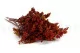 Solidago stabilis&eacute; Rouge 2