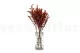 Solidago stabilizzato Rosso 3