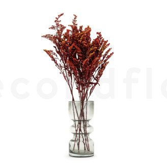 Solidago stabilisé - Bouquet - Rouge
