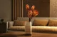 Dried Protea Repens Red (x5) 1