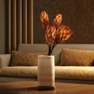 Dried Protea Repens Red (x5)